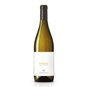 Cantine Miali Falanghina